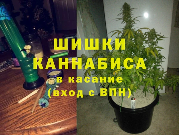 соль ск Бутурлиновка